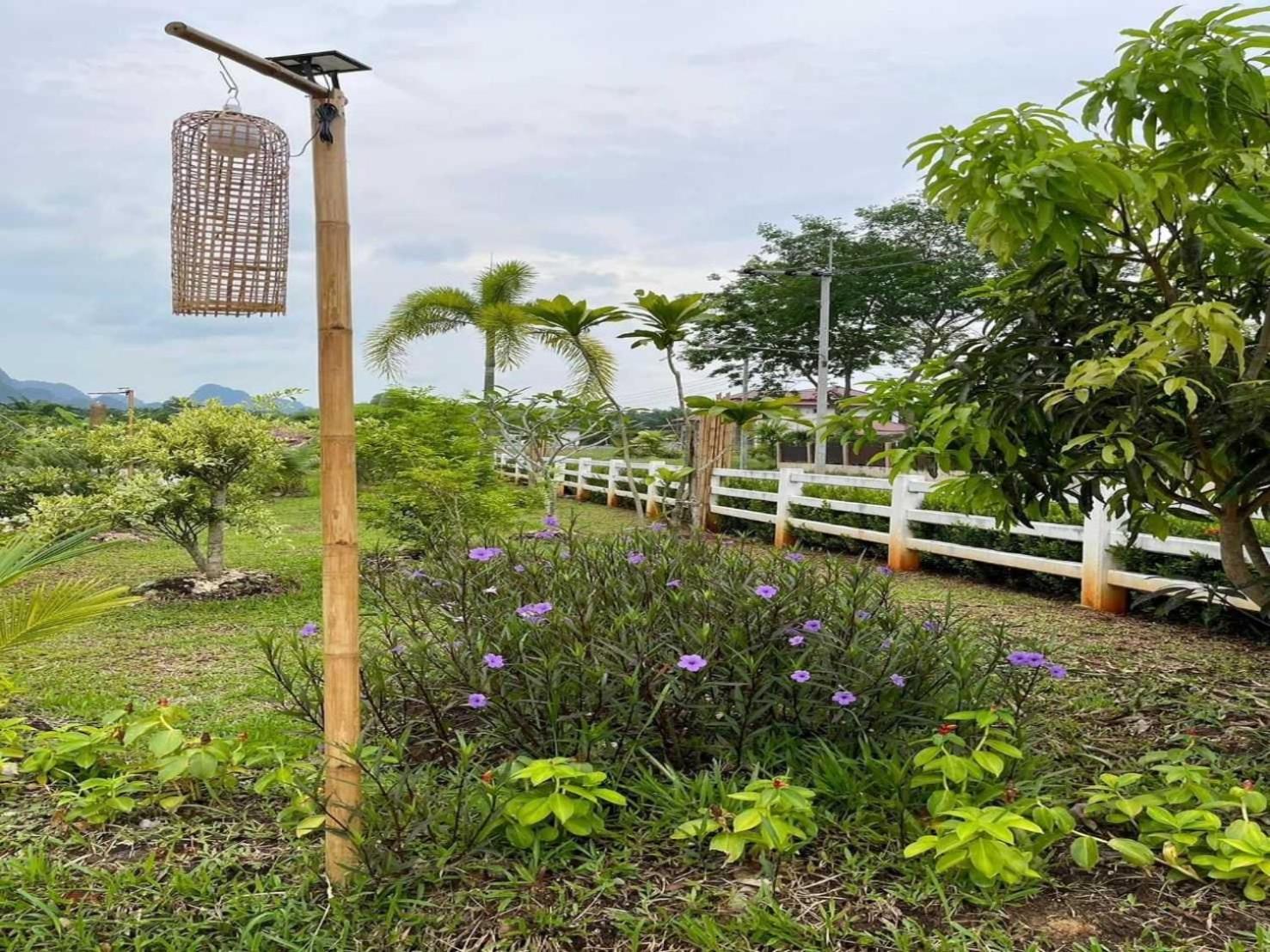 Capital O 75518 Baan Rose Resort Ao Luk 외부 사진